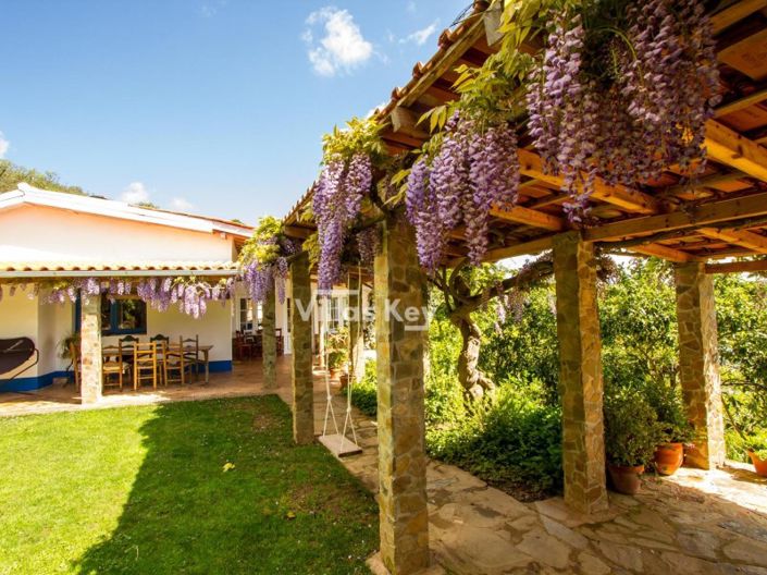 Image No.8-16 Bed Commercial for sale