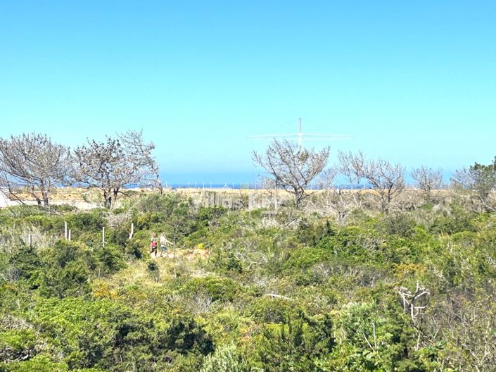 Image No.40-3 Bed House for sale