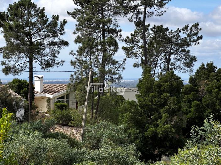 Image No.7-Plot for sale