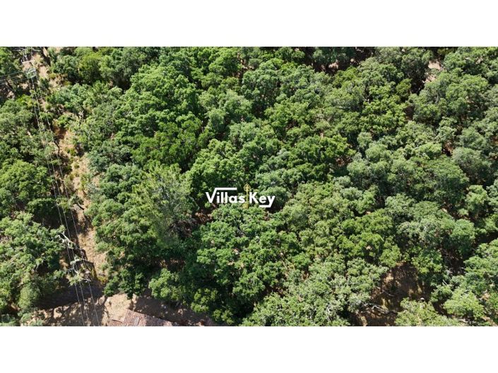 Image No.17-3 Bed Farmhouse for sale