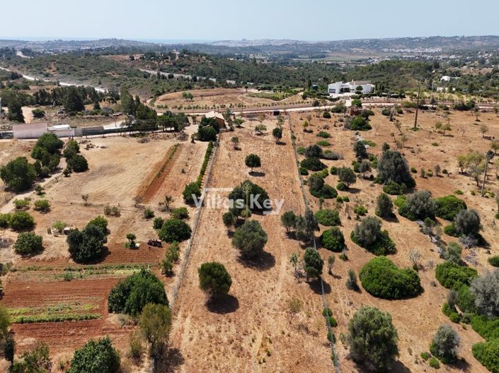 Image No.6-Plot for sale