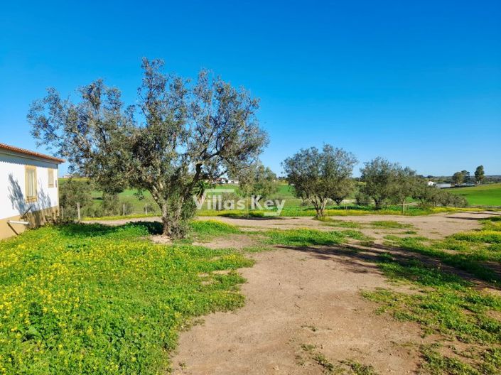 Image No.14-8 Bed Farmhouse for sale