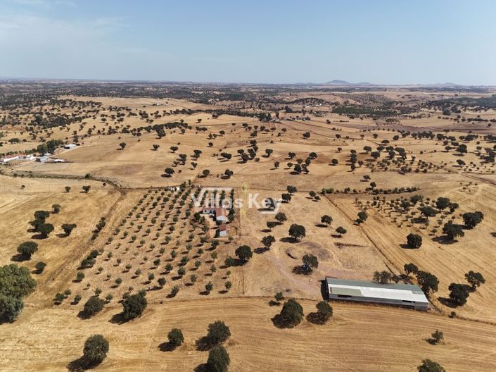 Image No.6-8 Bed Farmhouse for sale