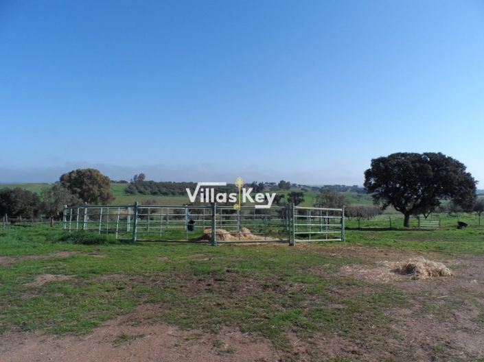 Image No.25-8 Bed Farmhouse for sale