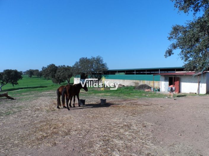 Image No.26-8 Bed Farmhouse for sale