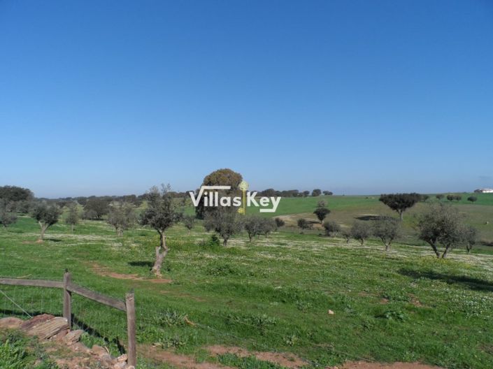 Image No.27-8 Bed Farmhouse for sale