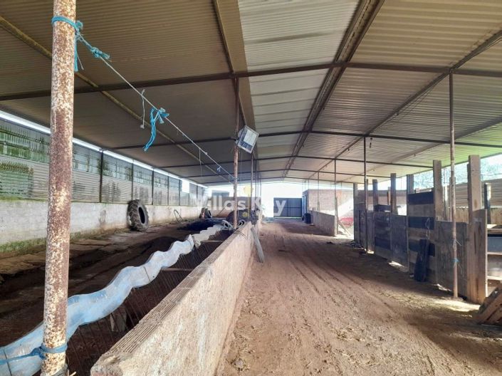 Image No.30-8 Bed Farmhouse for sale