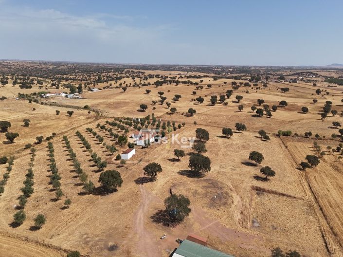 Image No.65-8 Bed Farmhouse for sale