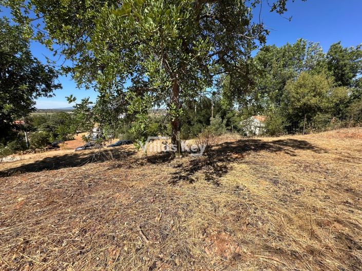 Image No.3-Terrain à vendre à Lagoa