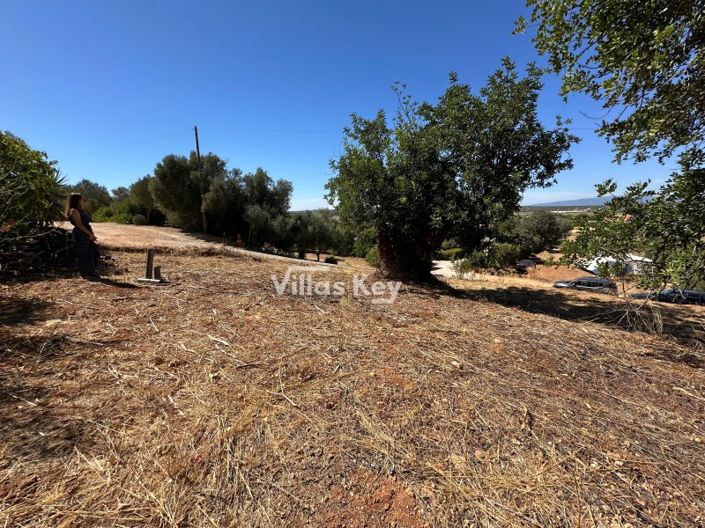 Image No.4-Terrain à vendre à Lagoa