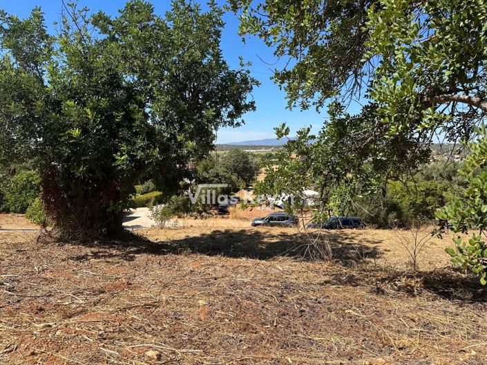 Image No.6-Terrain à vendre à Lagoa