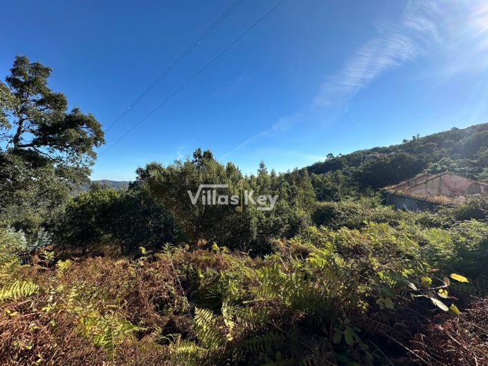 Image No.14-Plot for sale