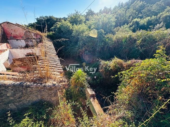 Image No.2-Plot for sale