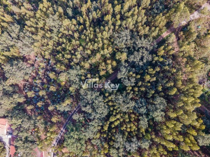 Image No.22-Terrain à vendre à Monchique