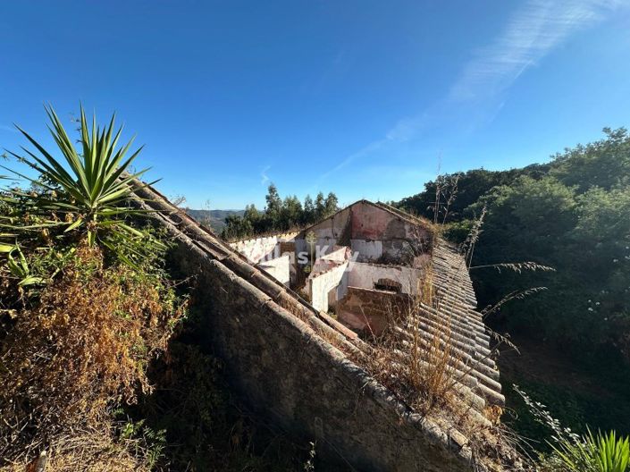 Image No.7-Plot for sale