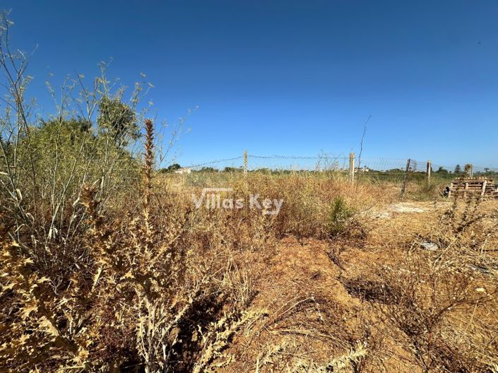 Image No.13-Plot for sale