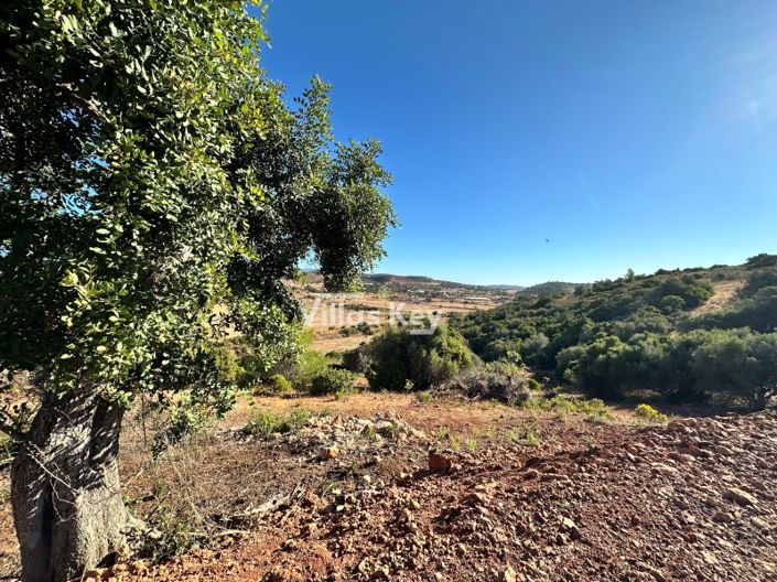 Image No.10-Terrain à vendre à Lagos