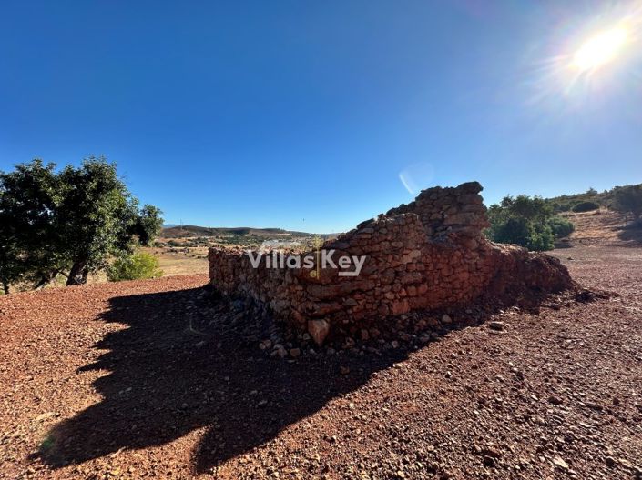 Image No.18-Terrain à vendre à Lagos