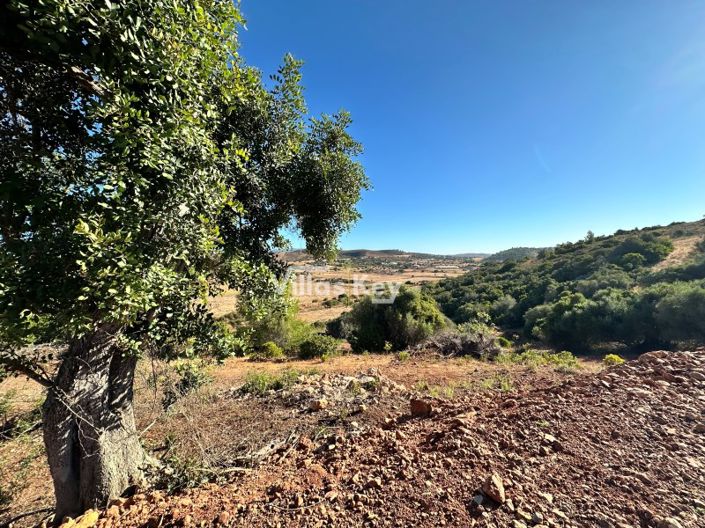 Image No.19-Terrain à vendre à Lagos