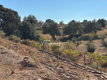 id2cb1ad01-0000-0500-0000-000017140b33