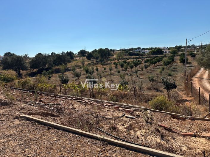 Image No.6-Terrain à vendre à Lagos