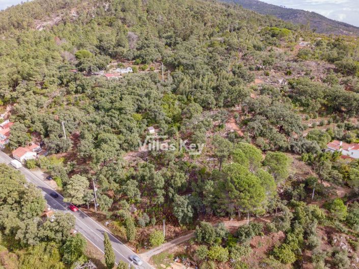 Image No.4-Terrain à vendre à Monchique