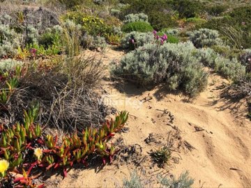 id4eadb301-0000-0500-0000-00001802c29f