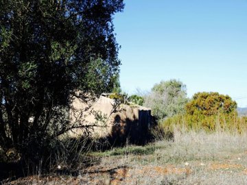 idd47a8200-0000-0500-0000-00000452ae2b