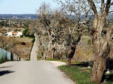 idd47a8200-0000-0500-0000-00000452ae3b