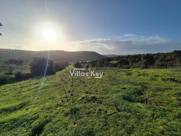 Image No.12-Plot for sale