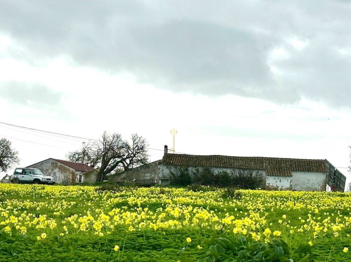 Image No.5-Terrain à vendre à Lagos