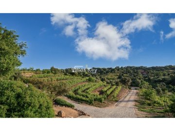 id850ec201-0000-0500-0000-0000189188c6