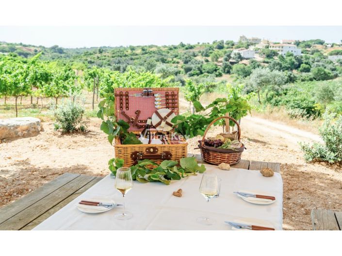 Image No.16-Ferme de 19 chambres à vendre à Lagoa