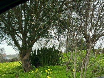 id414ac201-0000-0500-0000-00001892efec