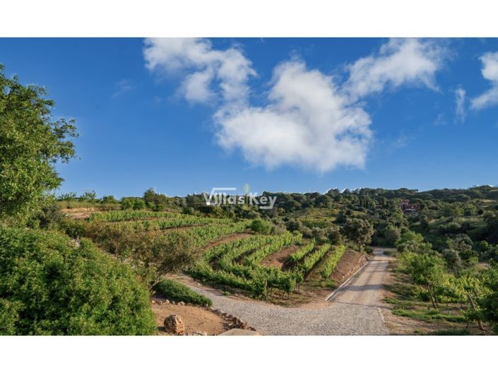 Image No.11-19 Bed Farmhouse for sale