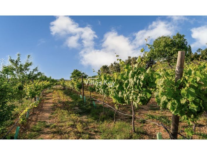 Image No.17-19 Bed Farmhouse for sale