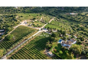 id850ec201-0000-0500-0000-0000189188bc