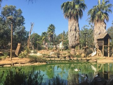 id1c1cc501-0000-0500-0000-000018cff596