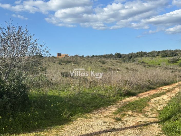 Image No.10-Plot for sale