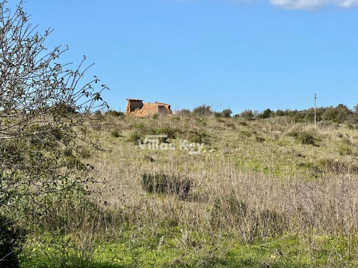 Image No.3-Terrain à vendre à Lagos