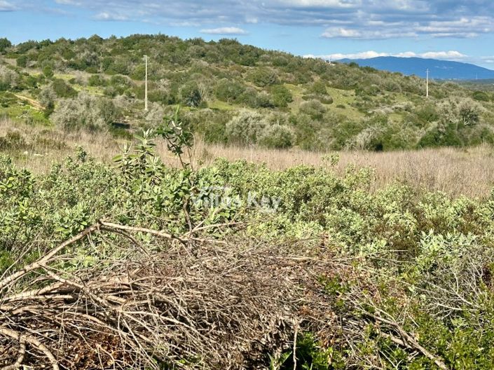 Image No.4-Plot for sale