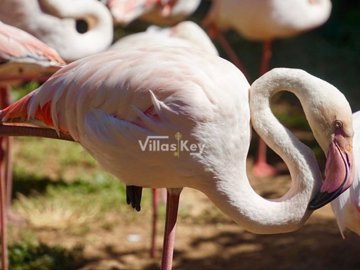 id1c1cc501-0000-0500-0000-000018cff599