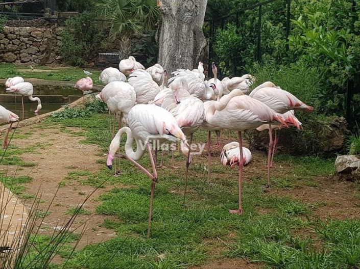 Image No.6-Property for sale