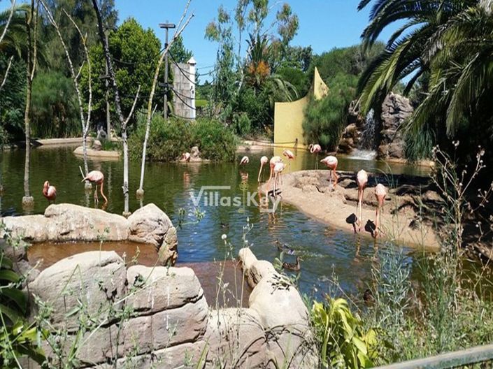 Image No.8-Property for sale