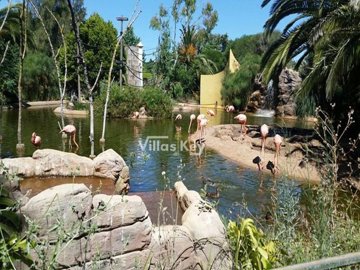 id1c1cc501-0000-0500-0000-000018d513ae