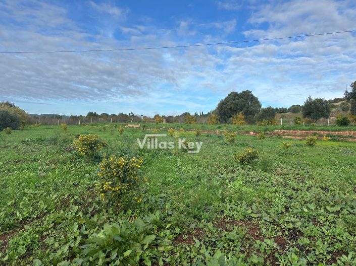 Image No.12-Farmhouse for sale