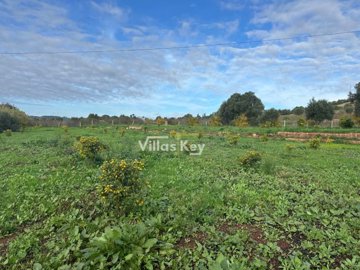 id832ec501-0000-0500-0000-000018d1dc0c