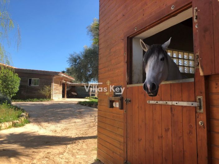 Image No.13-Farmhouse for sale