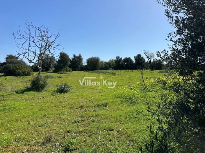 Image No.4-Farmhouse for sale