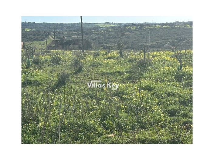 Image No.5-Farmhouse for sale